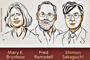 Ramsdell-Sakaguchi-e-Brunkow