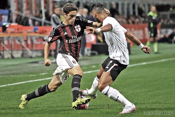 speciale calabria titolare