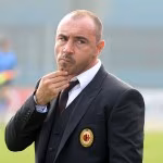 Brocchi