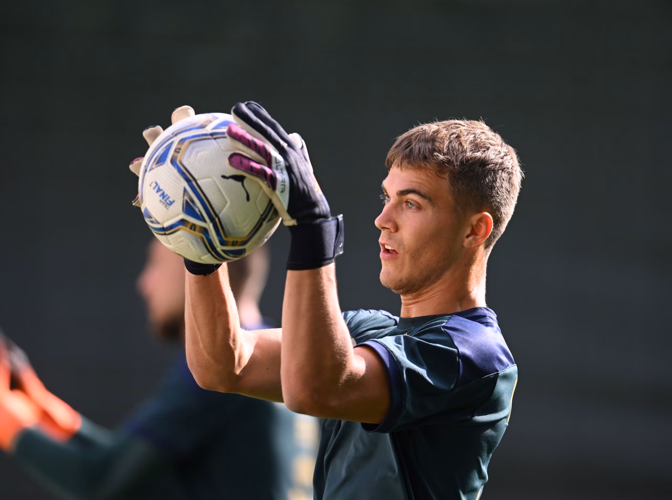 Sebastiano Desplanches