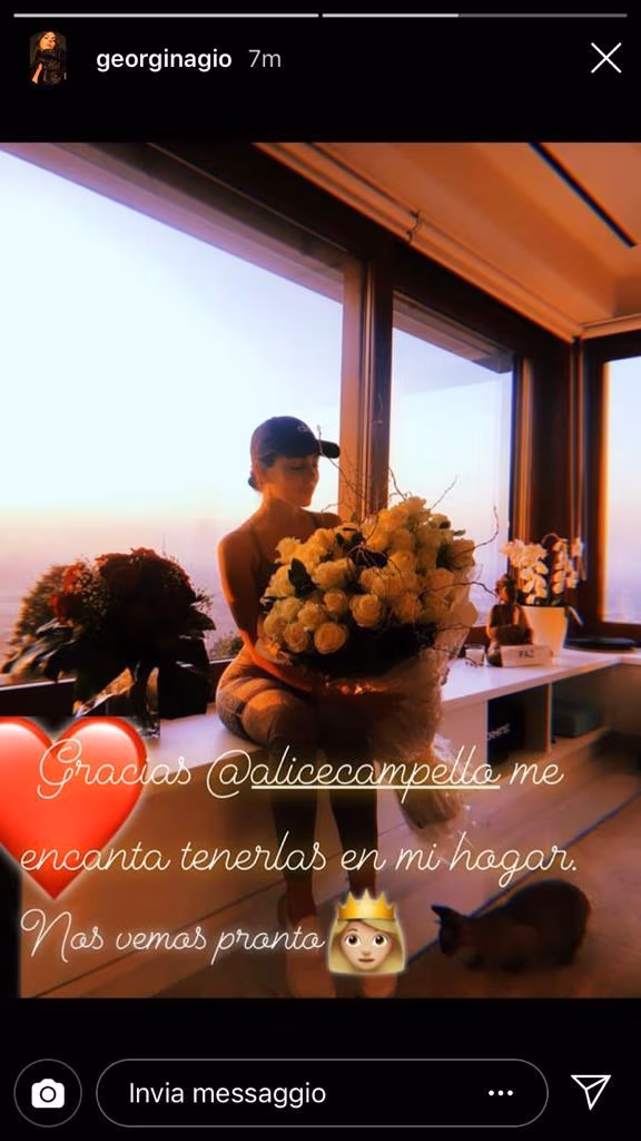 Georgina - Alice Campello