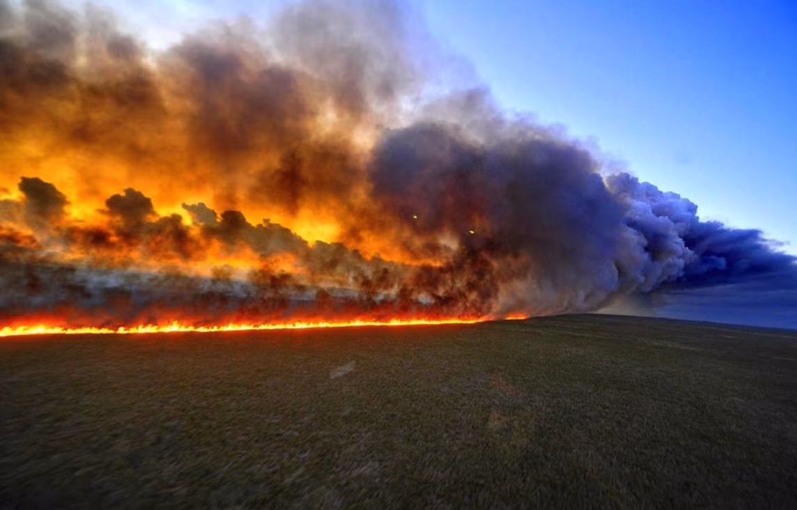 Il post di Ronaldo per l'Amazzonia