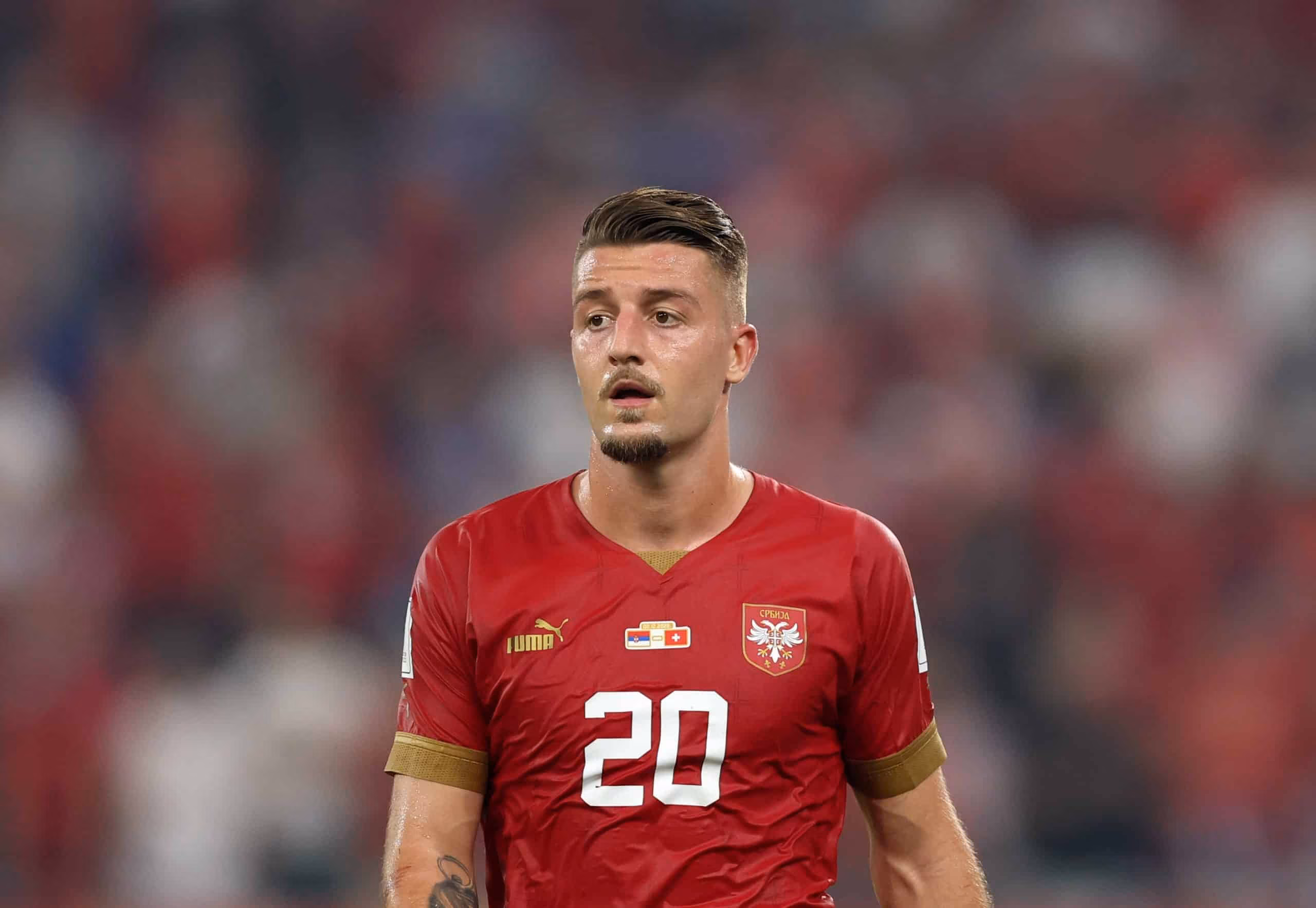 Sergej Milinkovic-Savic