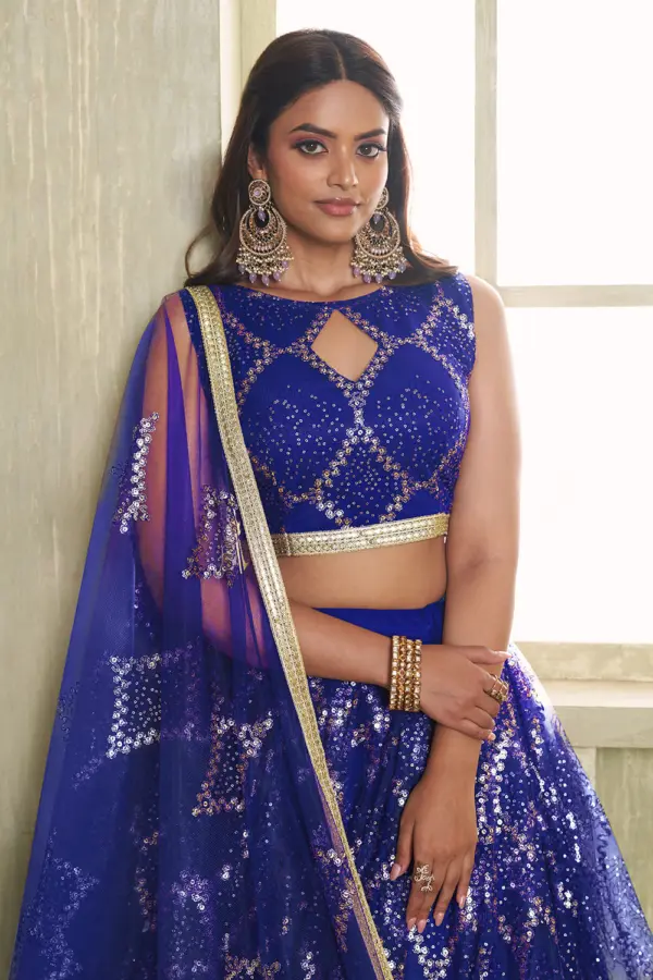 Back view of blue butterfly net lehenga choli with embroidered blouse