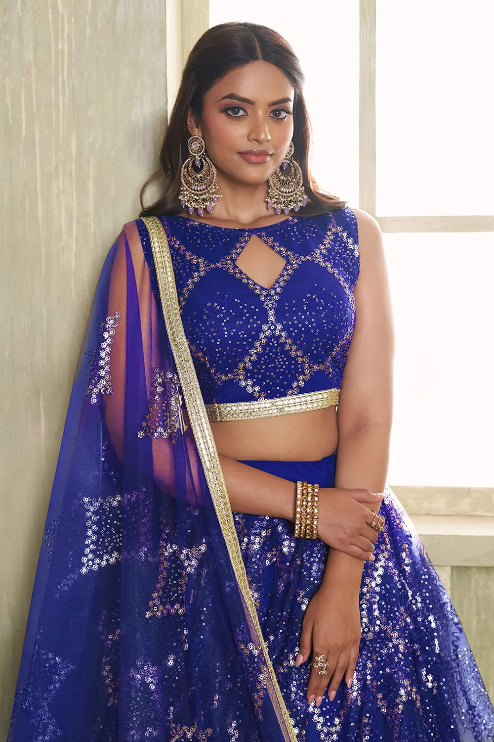 Back view of blue butterfly net lehenga choli with embroidered blouse