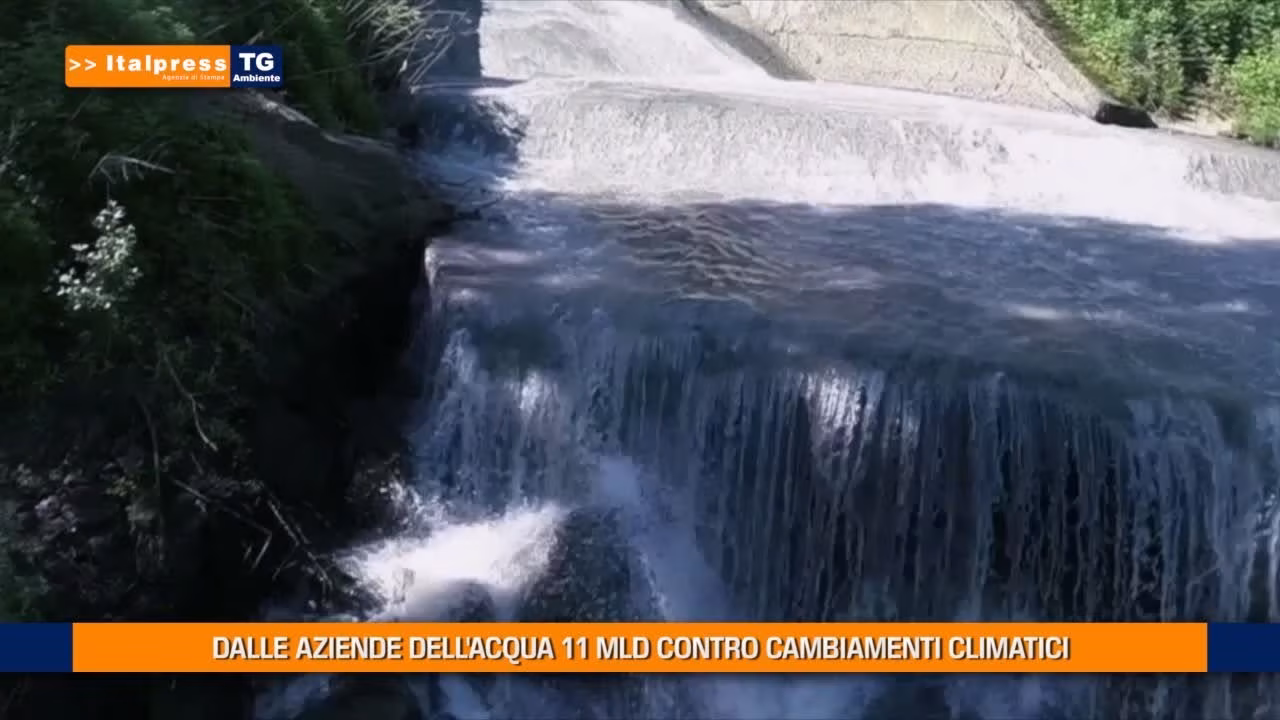 Tg Ambiente - 27/6/2021