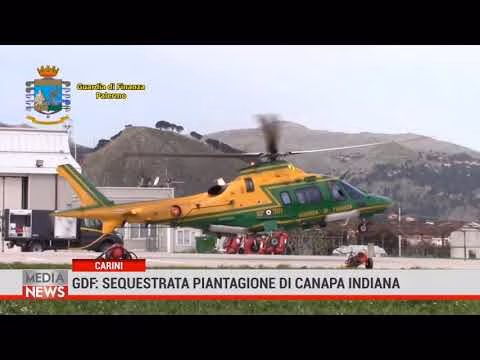 Medianews 21/08/21 1a edizione