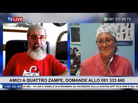 19LIVE PUNTATA DEL 13 LUGLIO 2021