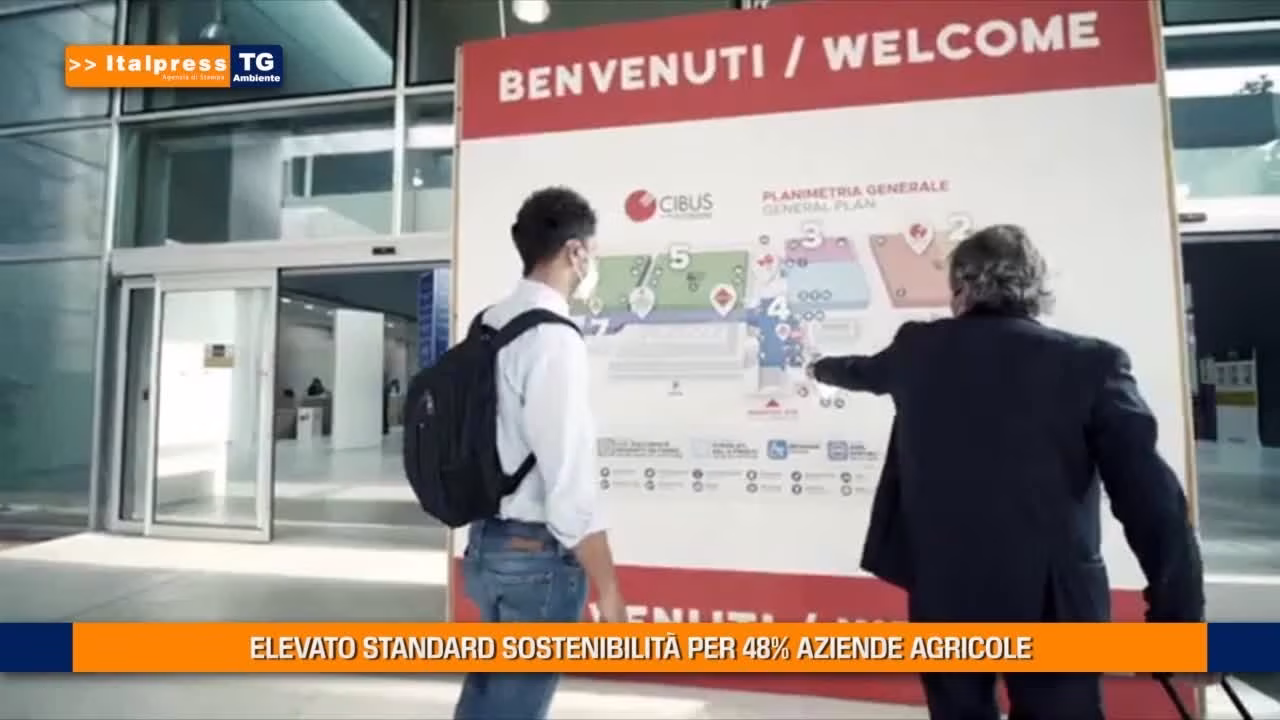 Tg Ambiente - 12/9/2021