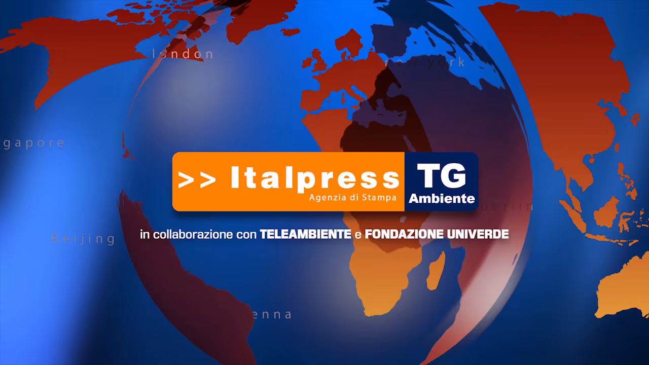 Tg Ambiente - 12/12/2021