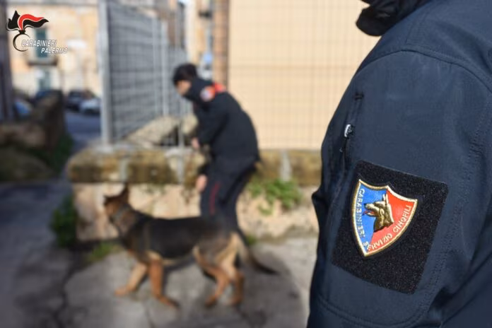 Armi e droga, sei arresti a Palermo