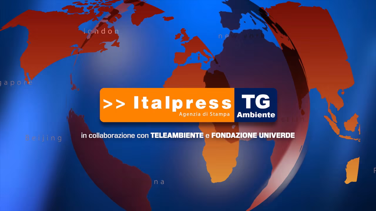 Tg Ambiente - 13/2/2022