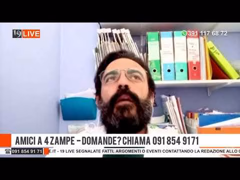 19LIVE AMICI A 4 ZAMPE 18 MARZO 2022