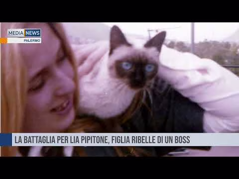 MEDIANEWS 24/09/2022 Prima edizione
