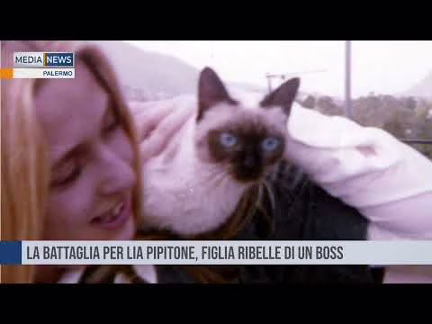 MEDIANEWS 24 09 2022 Seconda edizione