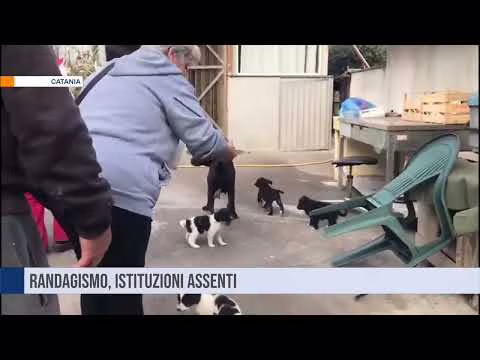 Catania