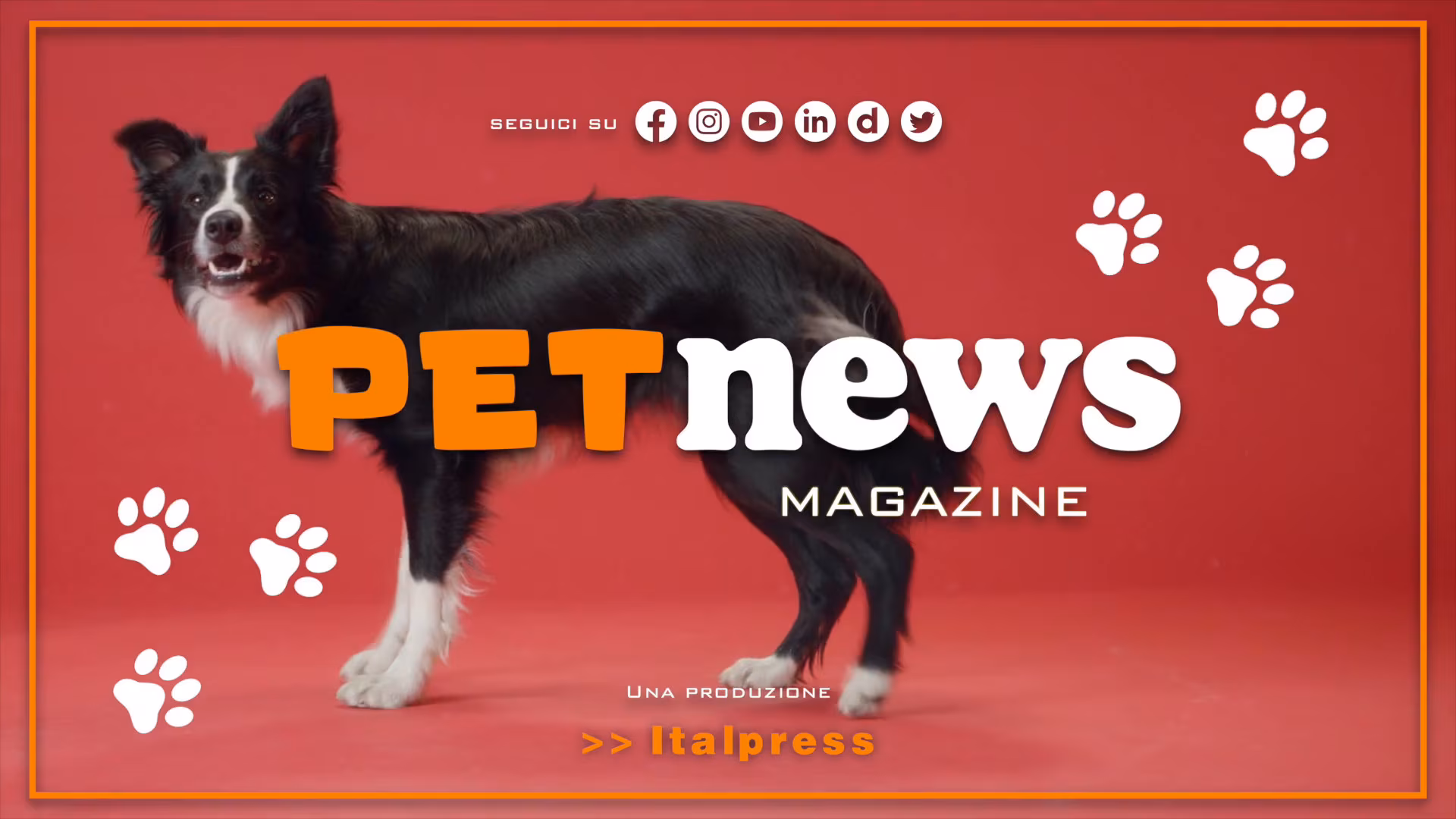PetNews Magazine - 2/5/2023