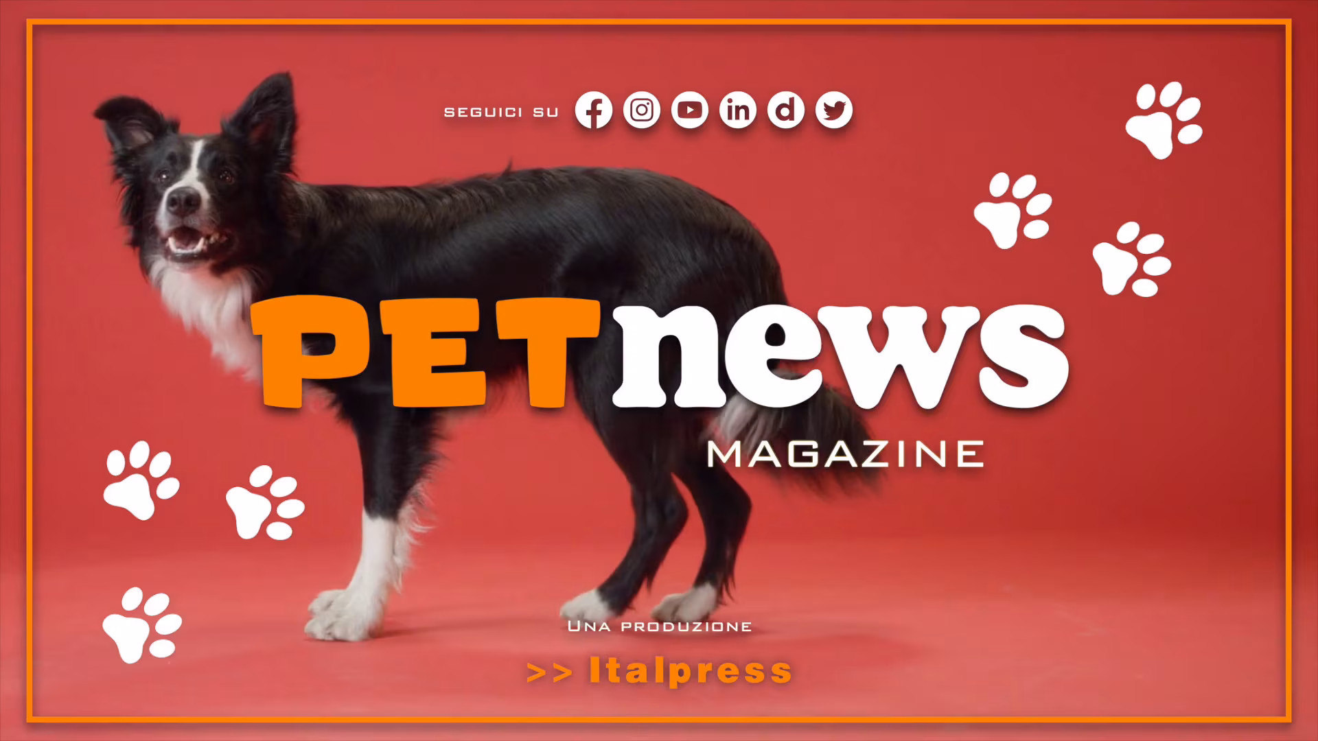PetNews Magazine - 26/9/2023