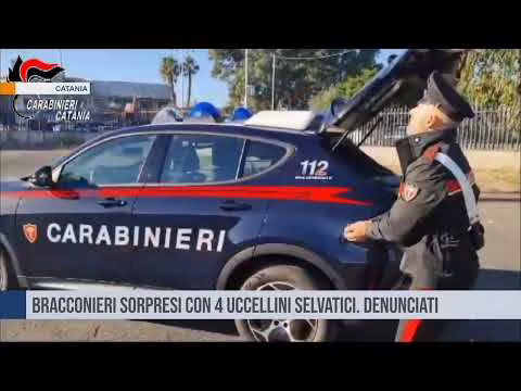 Catania