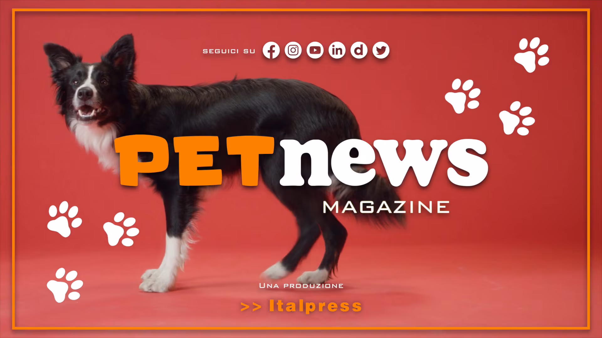 PetNews Magazine - 2/1/2024