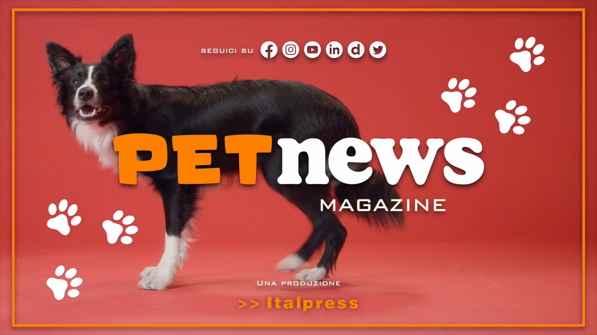 PetNews Magazine - 9/1/2024