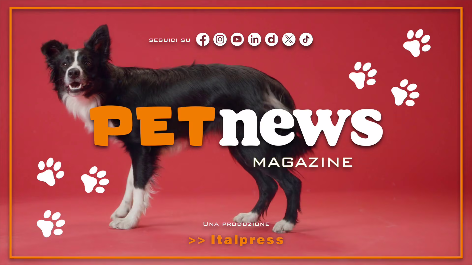 PetNews Magazine - 6/3/2024