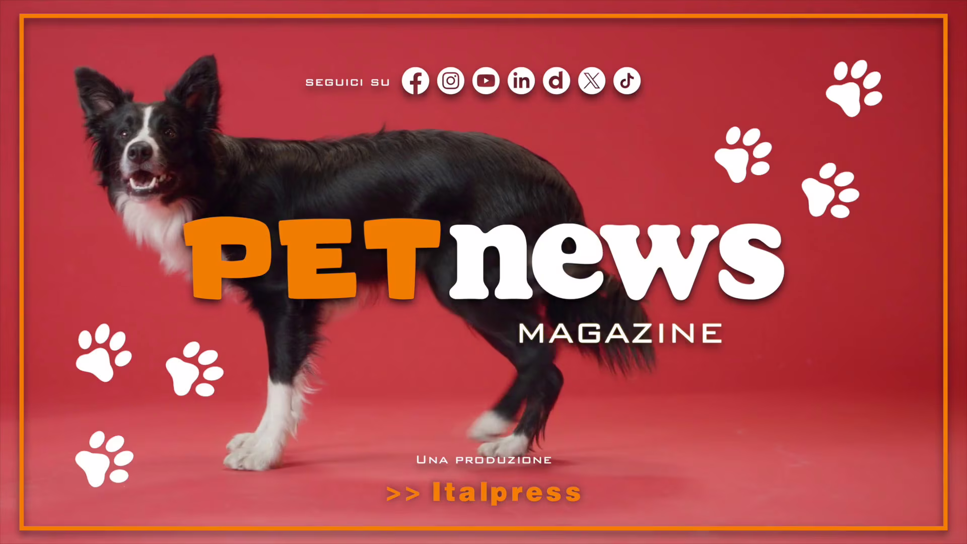 PetNews Magazine - 3/4/2024