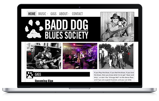 Musician website