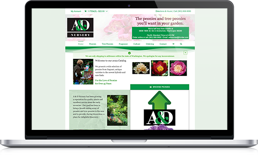 Nursery website development