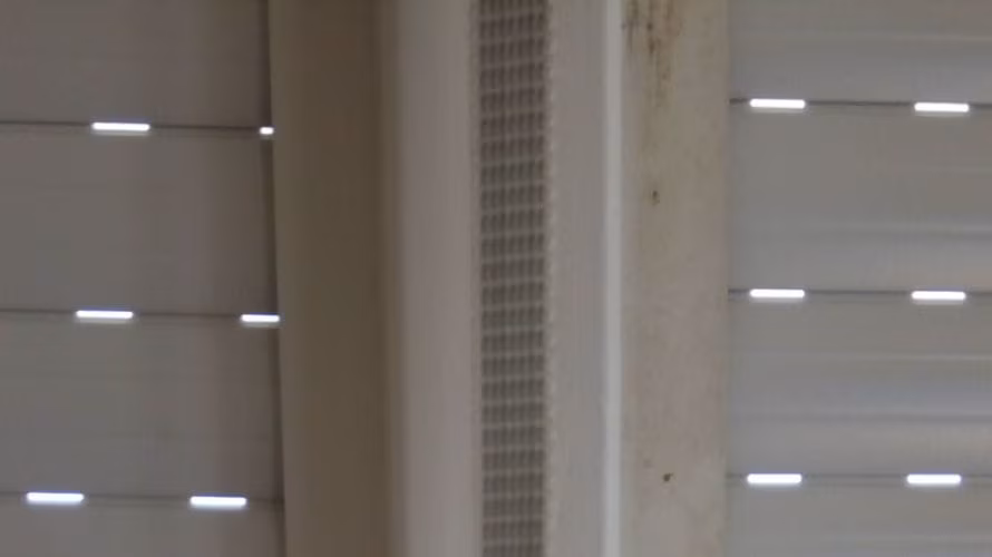 Družinski čistilni servis