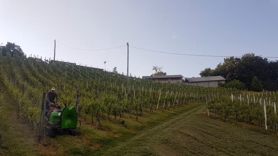Vinogradništvo KOKOT
