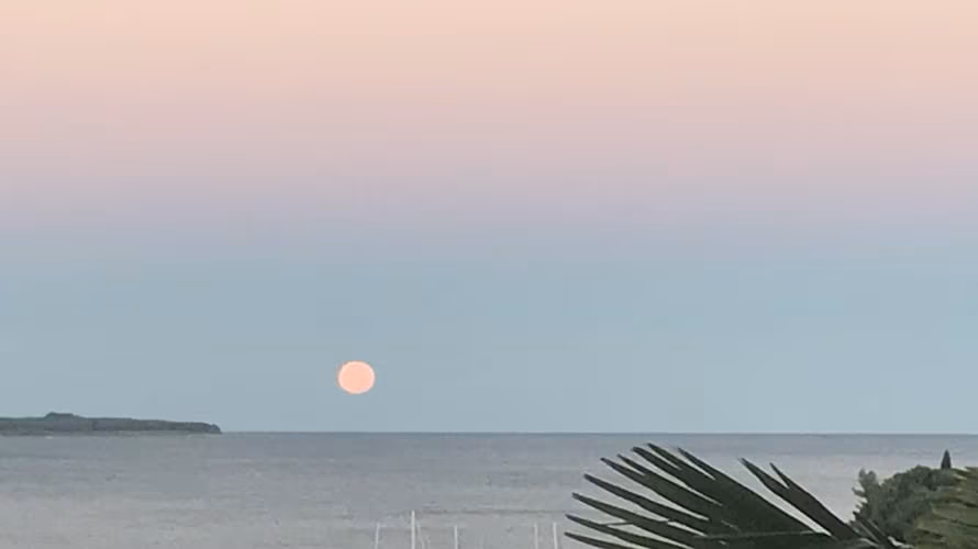 Apartments Panorama Portorož