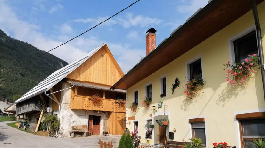 Hostel sobe in apartma Ceklin Bohinj