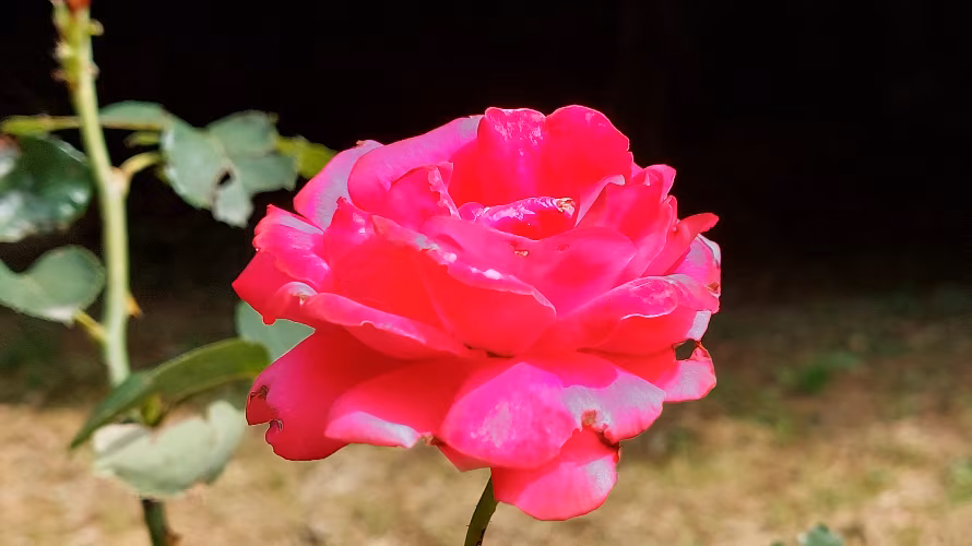 KAU-križanke anagrami uganke