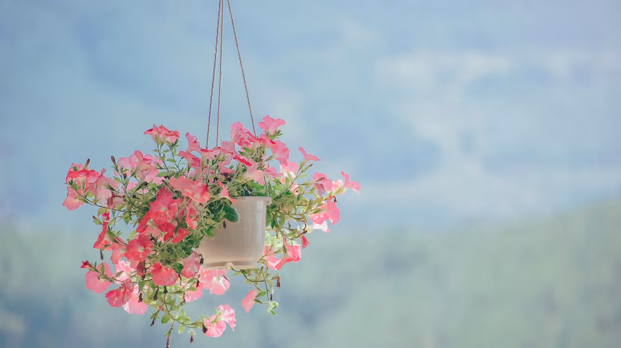 učno podjetje - rože