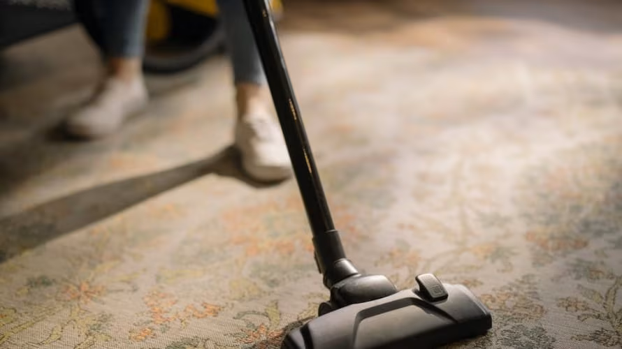 Čistilni servis DALIA