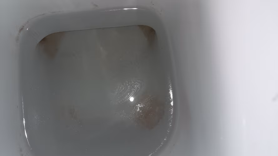 Čistilni servis EKO13