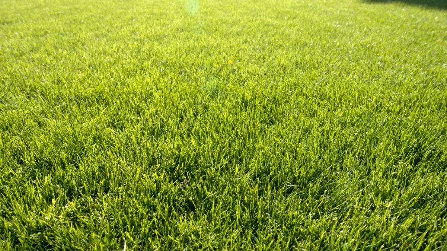 PERFEKTUS vrtne rešitve