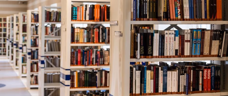 Primer s knjižnico.