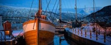 brown and white docked boat on body of water