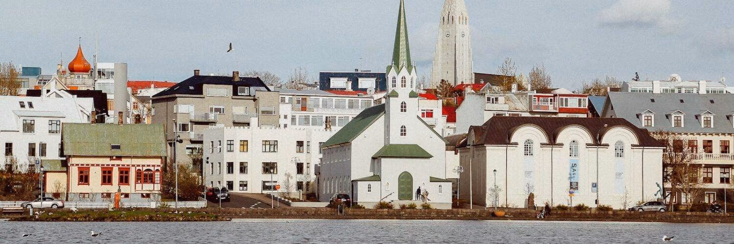 photography of white swan floating on water body