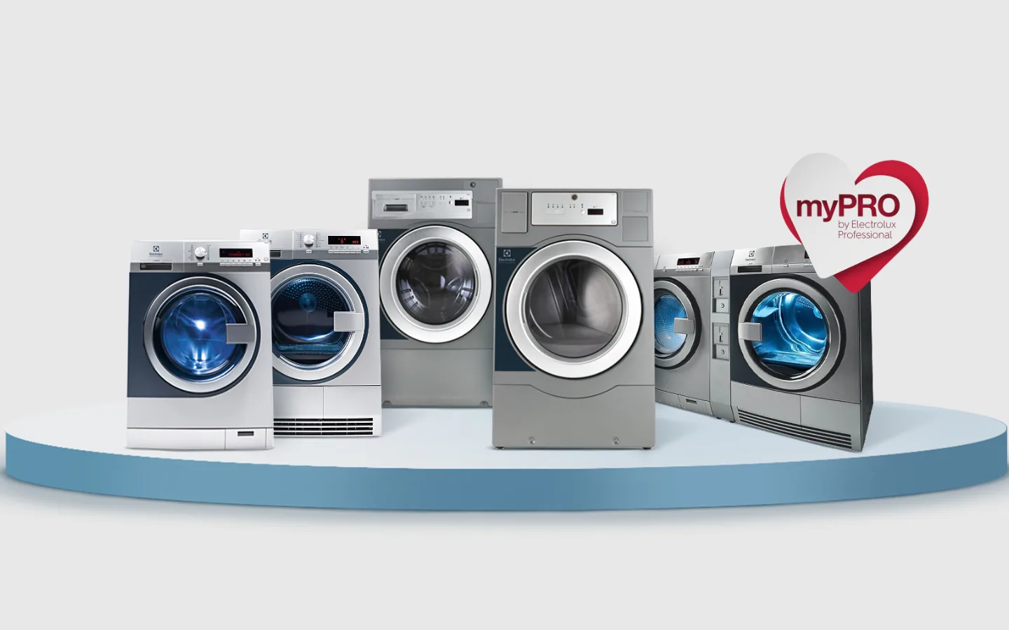 Profesionalne pralnice