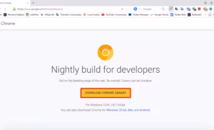 Google Canary Nightly Build