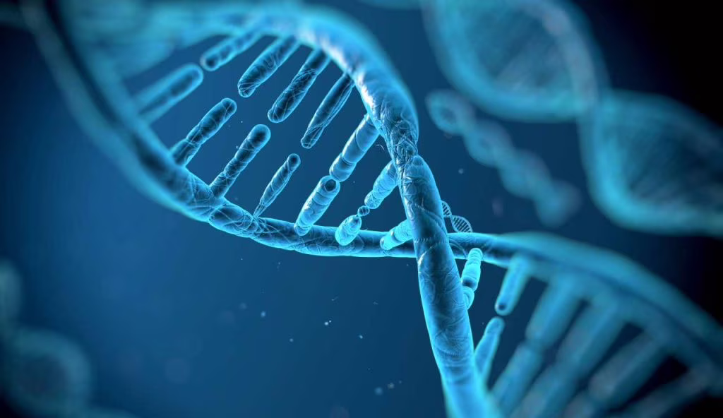 DNA AlphaGenome