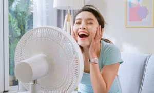 Ventilatore