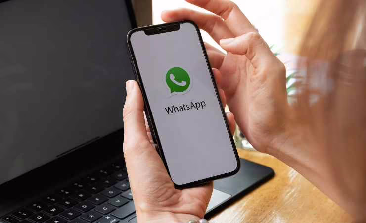 WhatsApp su cellulare