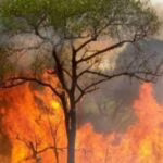incendio-700-x-376