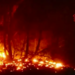Grande caldo, allerta “arancione” per Palermo: 83 gli incendi nelle ultime ore in Sicilia