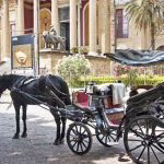 Forte caldo a Palermo, fino a lunedì divieto di circolazione per le vetture trainate da animali