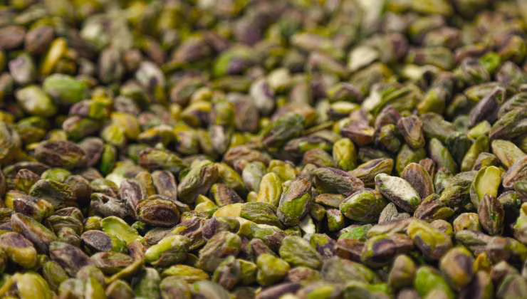 pistacchio - foto archivio teleone.it